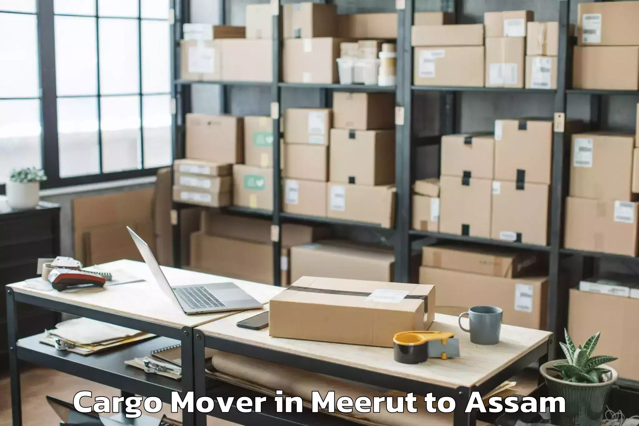 Top Meerut to Abhilashi University Silchar Cargo Mover Available